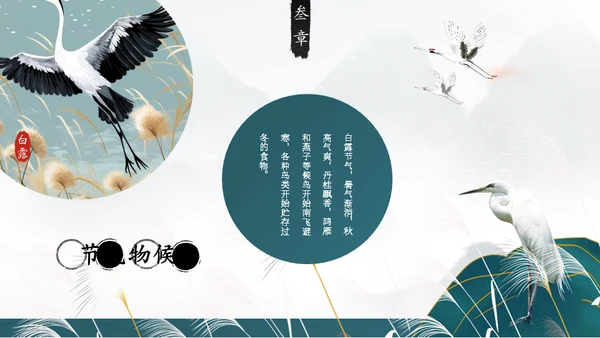 白露白鹤通用PPT模板