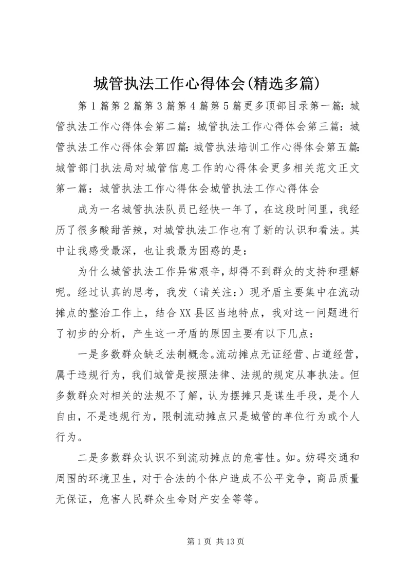 城管执法工作心得体会(精选多篇) (2).docx