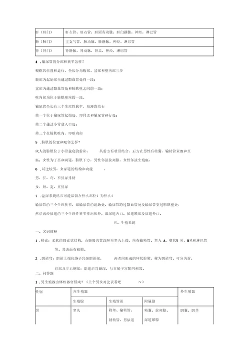 系统解剖学复习资料