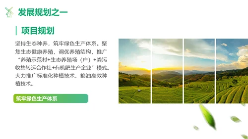 绿色茶山农业种植项目汇报通用PPT模板