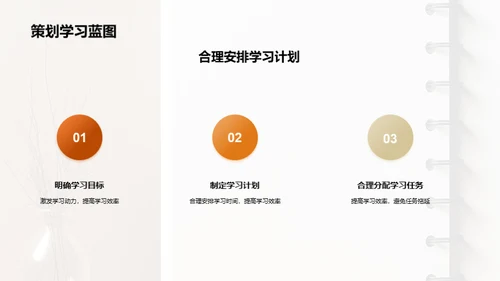 学习效率之道