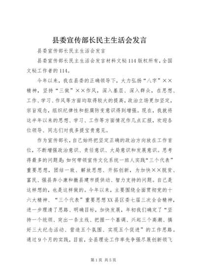 县委宣传部长民主生活会发言 (2).docx