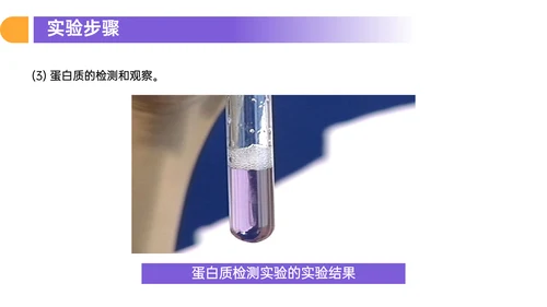 人教版高中生物细胞元素化合物PPT课件