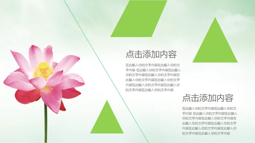 中国风荷塘风景荷叶荷花青莲通用PPT模板