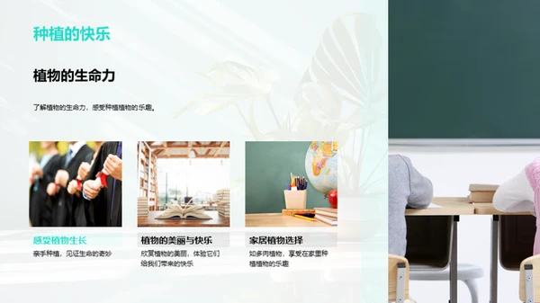 小绿植的奇妙旅程