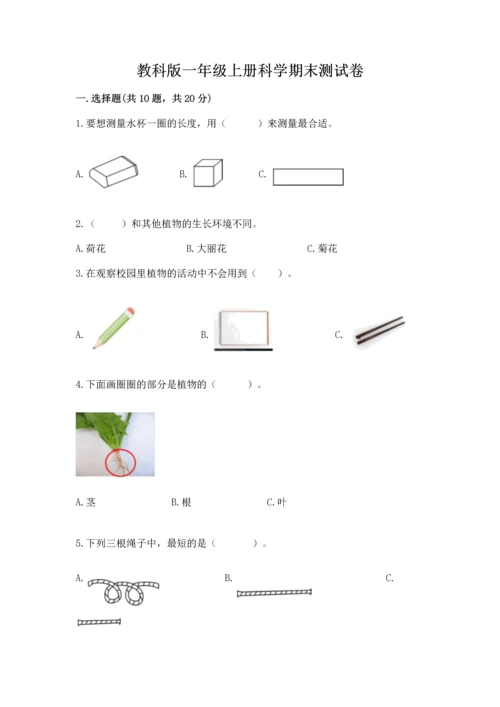 教科版一年级上册科学期末测试卷含答案（新）.docx