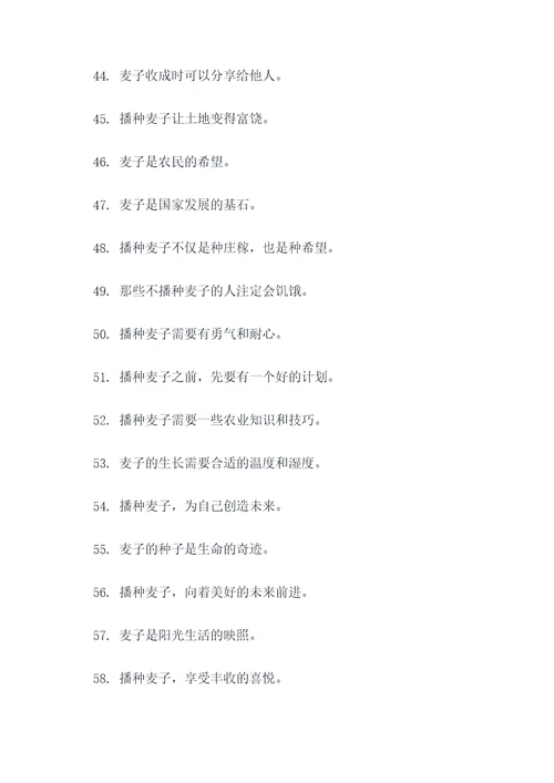 播种麦子谚语