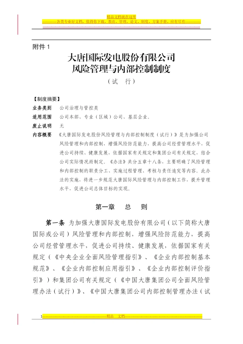 大唐国际风险管理与内部控制制度(试行).docx