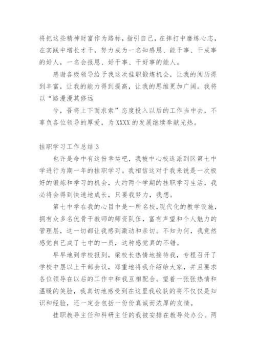 挂职学习工作总结.docx