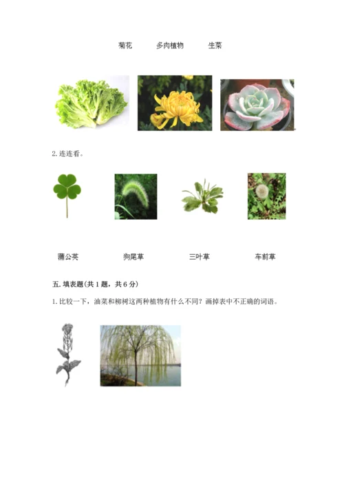 教科版科学一年级上册第一单元《植物》测试卷及答案【精品】.docx