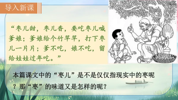19《枣儿》课件