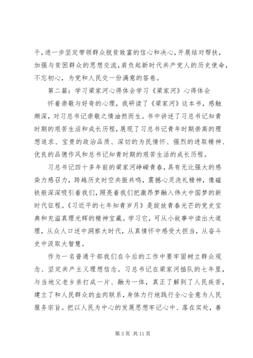 学习梁家河心得体会六.docx