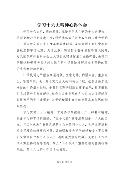 学习十六大精神心得体会 (2).docx