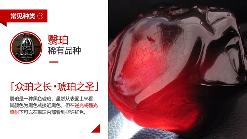 典雅轻奢琥珀藏品专业知识讲座PPT模板