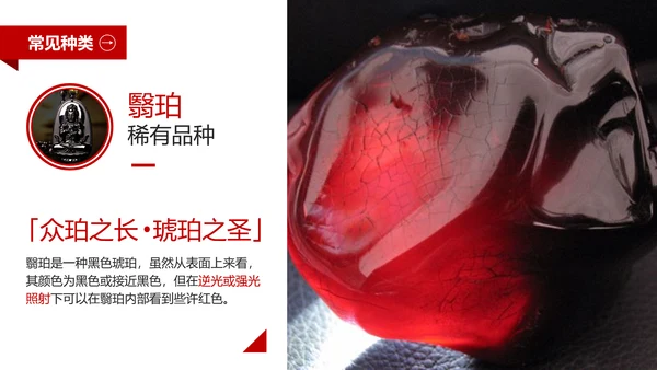 典雅轻奢琥珀藏品专业知识讲座PPT模板