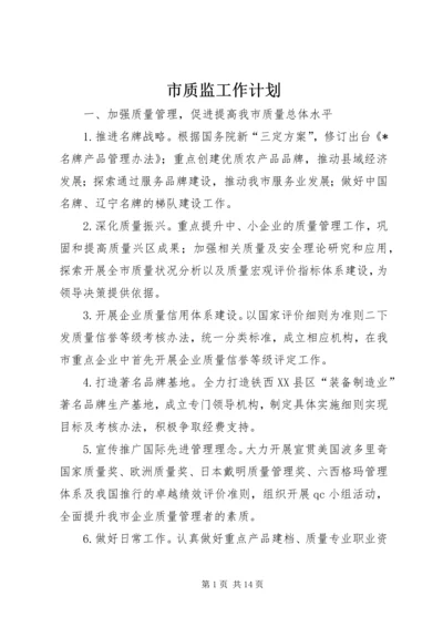 市质监工作计划 (2).docx