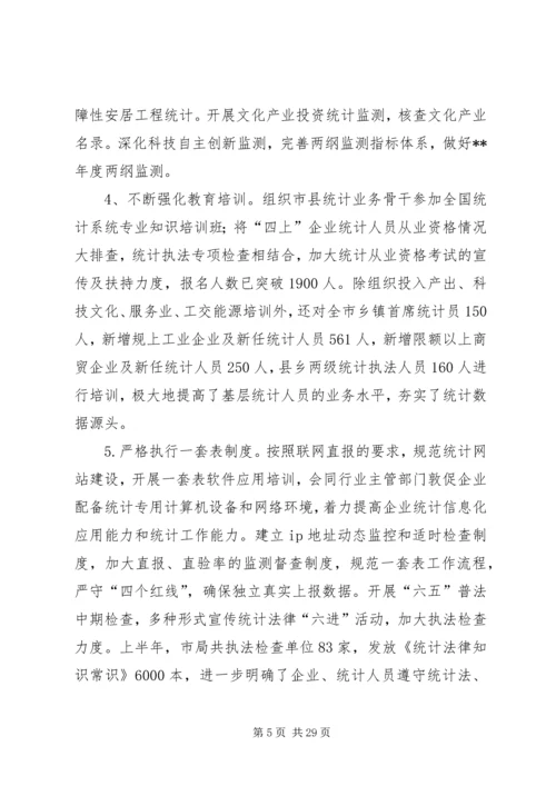 市统计局上半年工作总结及下半年工作计划 (2).docx