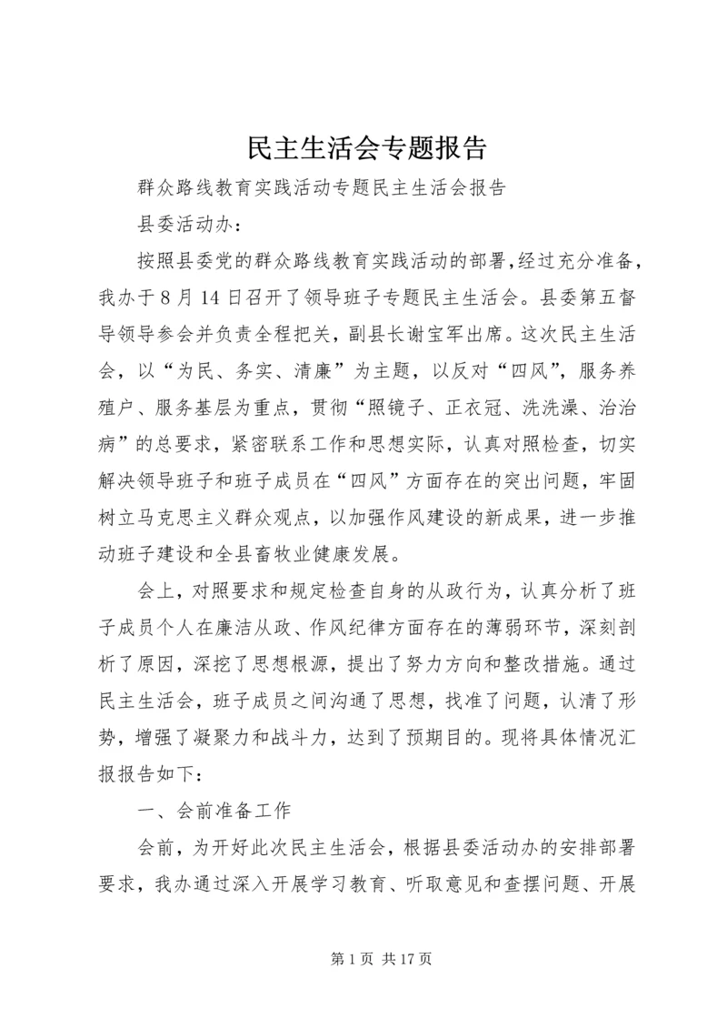 民主生活会专题报告 (3).docx