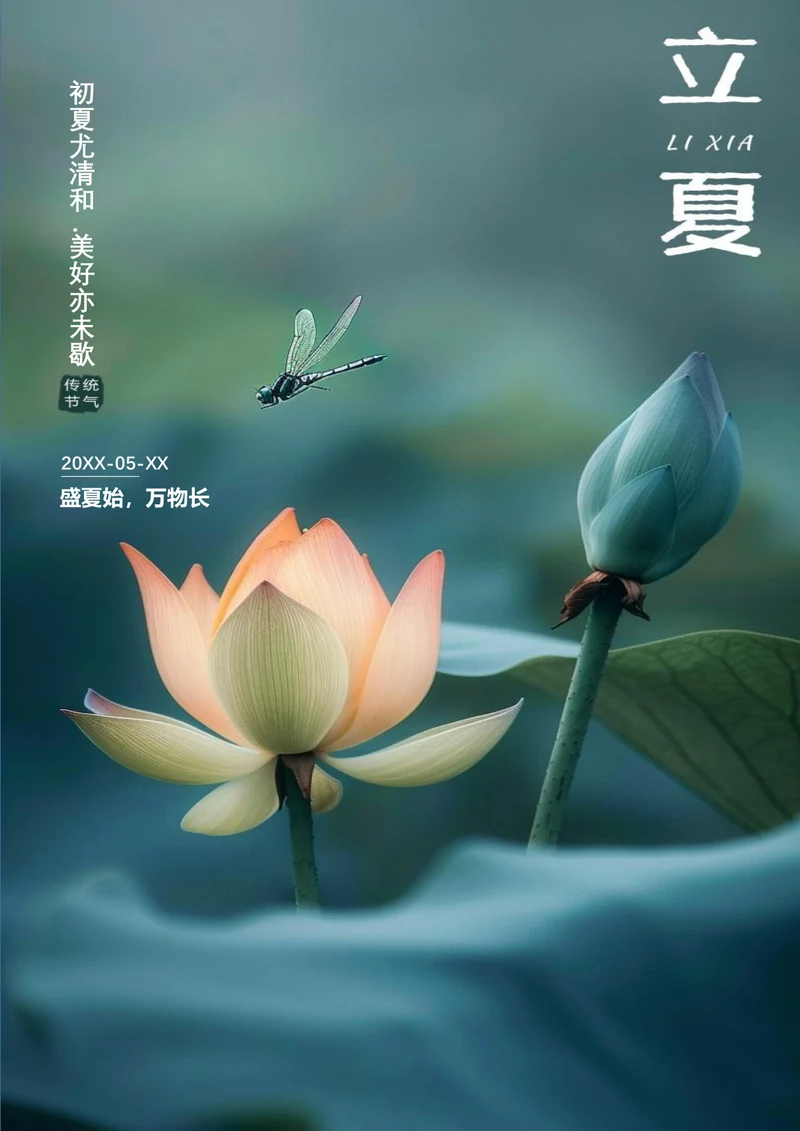 唯美盛夏立夏节气海报