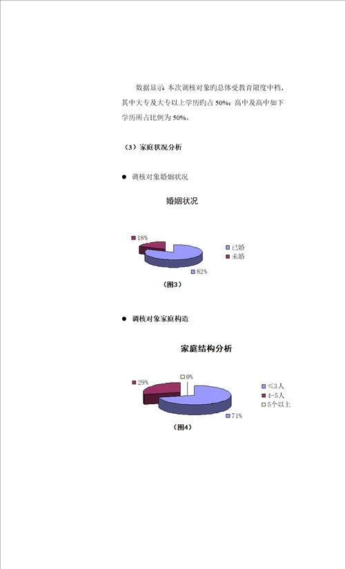 专项项目专项项目营销专题策划报告