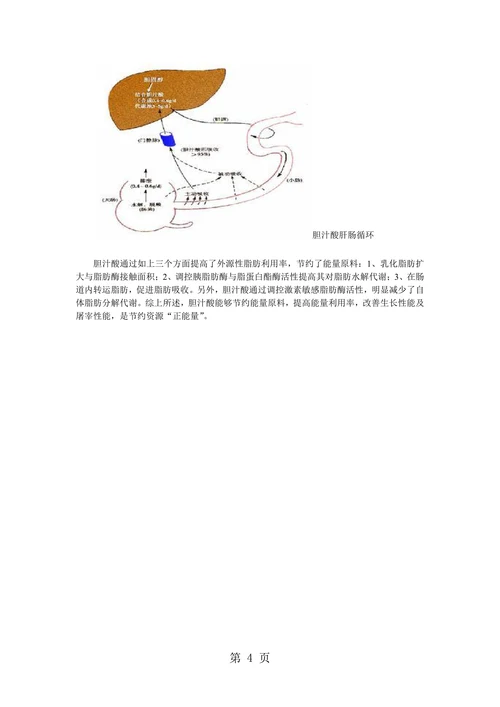 胆汁酸在脂肪代谢过程中不可替代作用有哪些