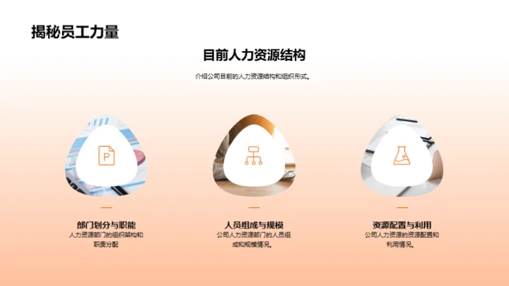 20XX年度人力资源优化