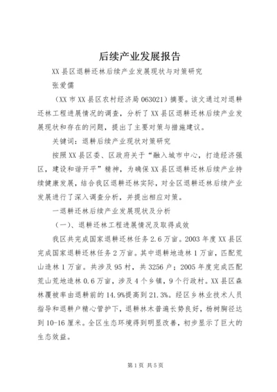 后续产业发展报告 (2).docx