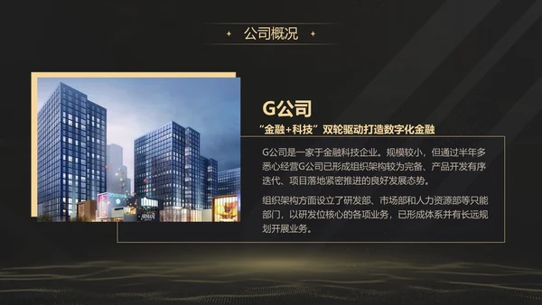 黑金质感项目战略商业计划书通用PPT模板