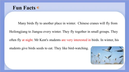 Unit 2 What's your hobby? Lesson 12 课件(共61张PPT)