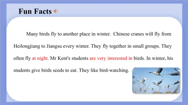 Unit 2 What's your hobby? Lesson 12 课件(共61张PPT)