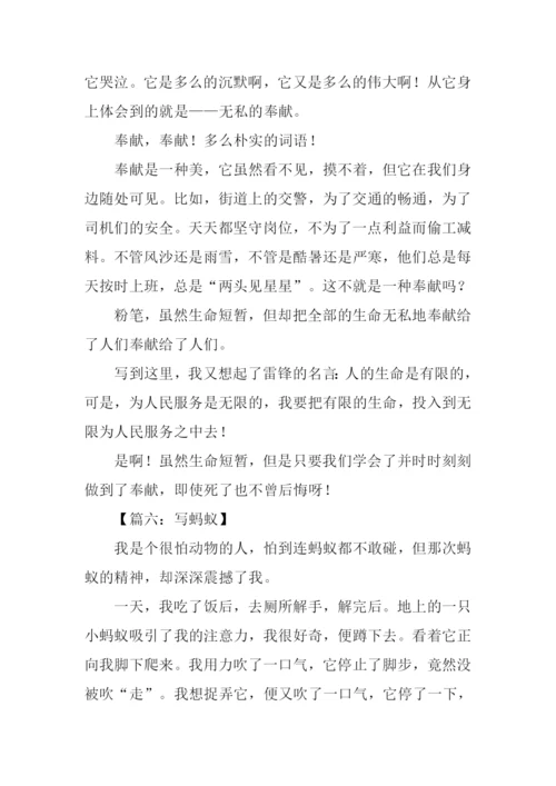 小学借物喻人的作文.docx