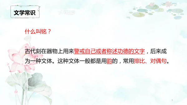 第17课  短文两篇 课件(共39张PPT)