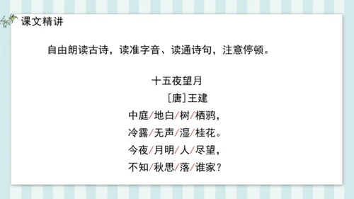 3 十五夜望月 课件
