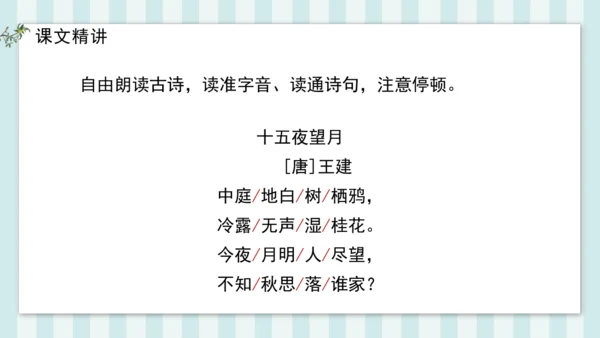 3 十五夜望月 课件