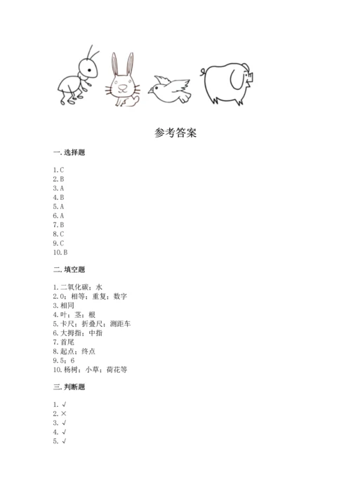 教科版一年级上册科学期末测试卷精品（基础题）.docx
