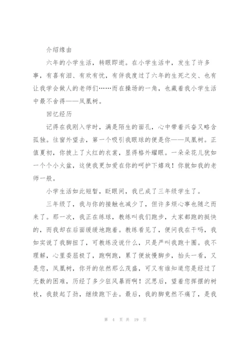 小学毕业感言作文13篇.docx