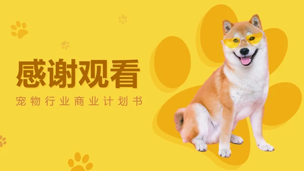 宠物行业商业计划书PPT模板