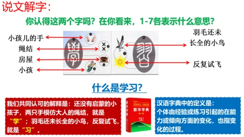 【新课标】2.1学习伴成长课件（24张ppt）