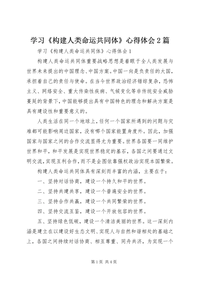 学习《构建人类命运共同体》心得体会2篇.docx
