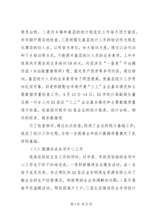市统计局上半年工作总结及下半年工作计划(精选多篇).docx