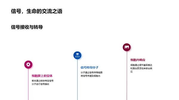 生物化学与医学纽带