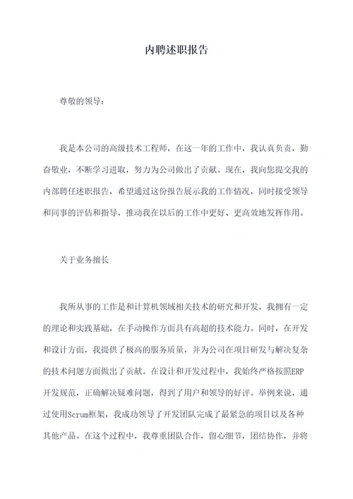 内聘述职报告