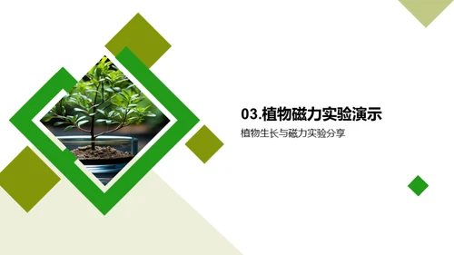 揭秘科学实验之旅