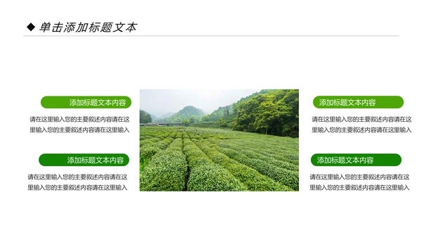 绿色清新茶园茶艺茶道文化动态PPT模板