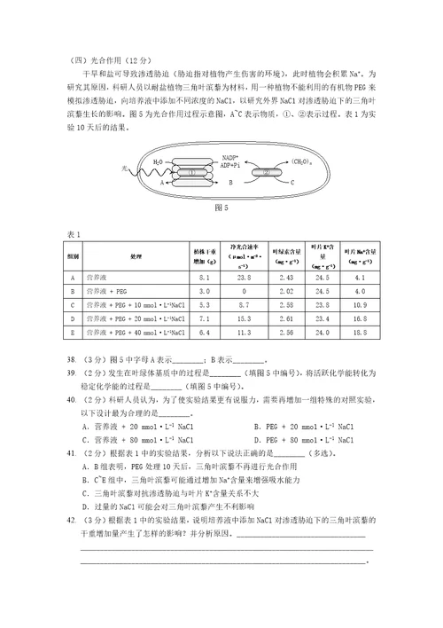 学年二模06 静安 试卷(1)