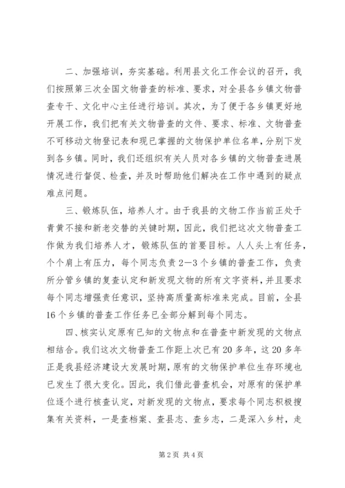 县文物普查工作报告.docx