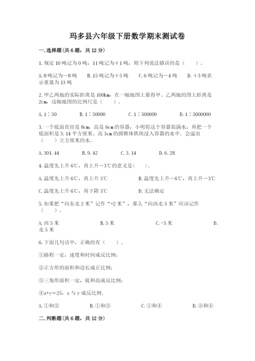 玛多县六年级下册数学期末测试卷（名师系列）.docx