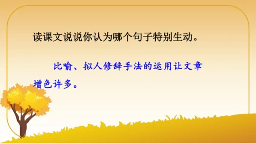 6 秋天的雨   课件