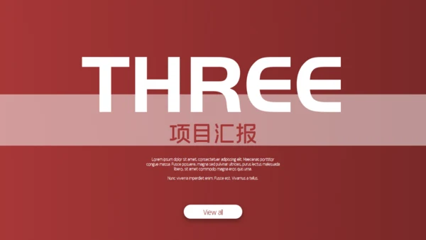 金融业投资者项目通用PPT模板