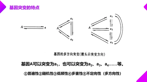 基因突变和基因重组初高中生物PPT课件